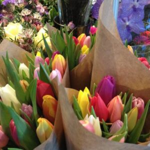 Tulipaner mix