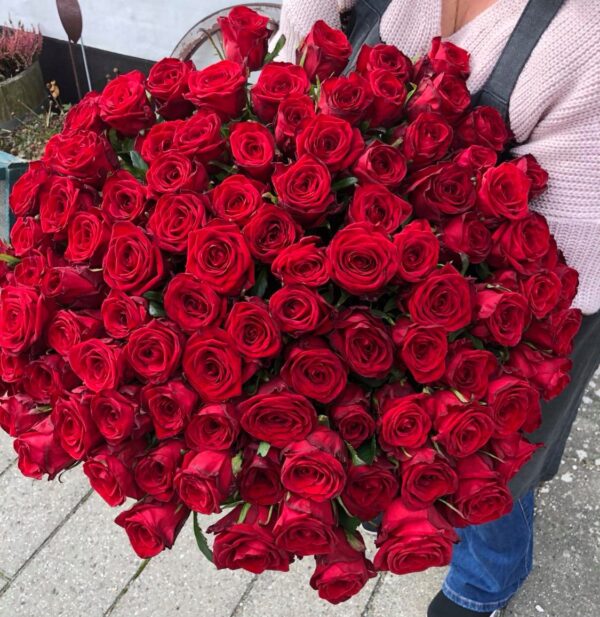 Røde Roser - 100 stk - Den perfekte gave - Aarstidens Blomster
